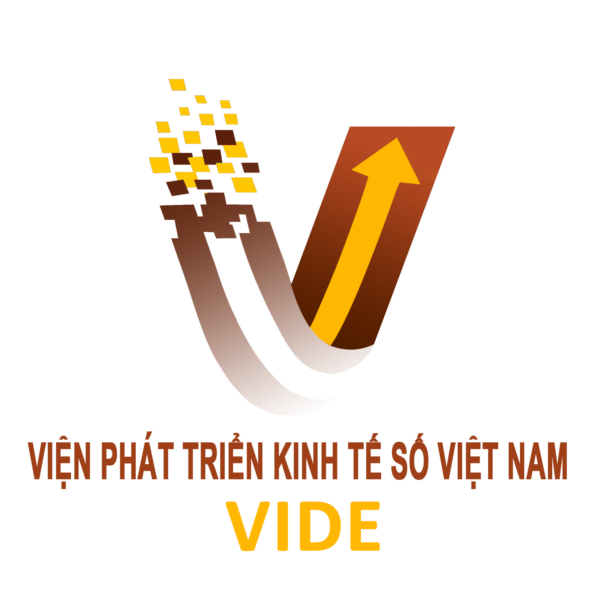 Vietnam Digital Economy Development Institute